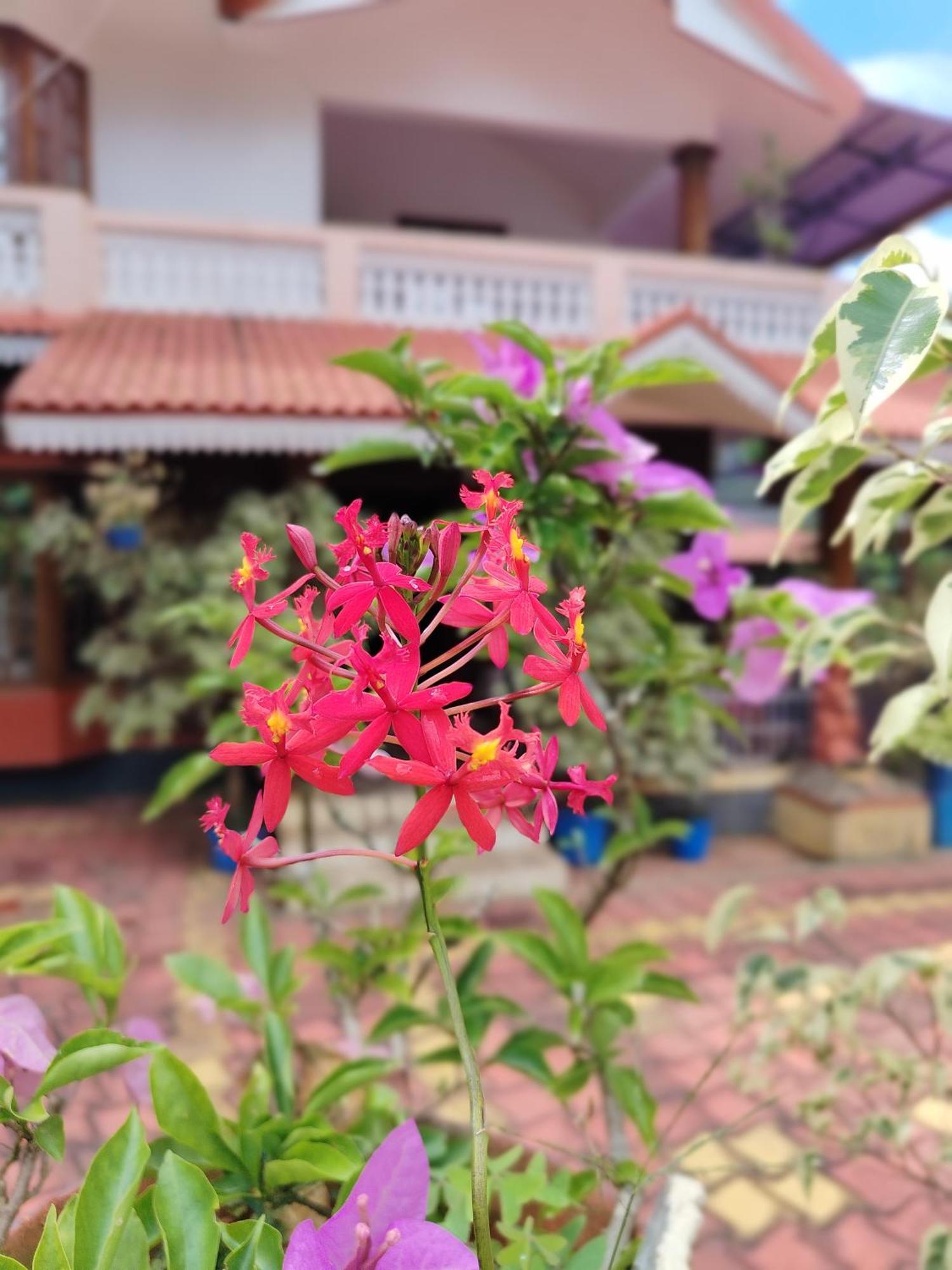 Shivalaya Homestay, Madikeri Siddāpur Εξωτερικό φωτογραφία