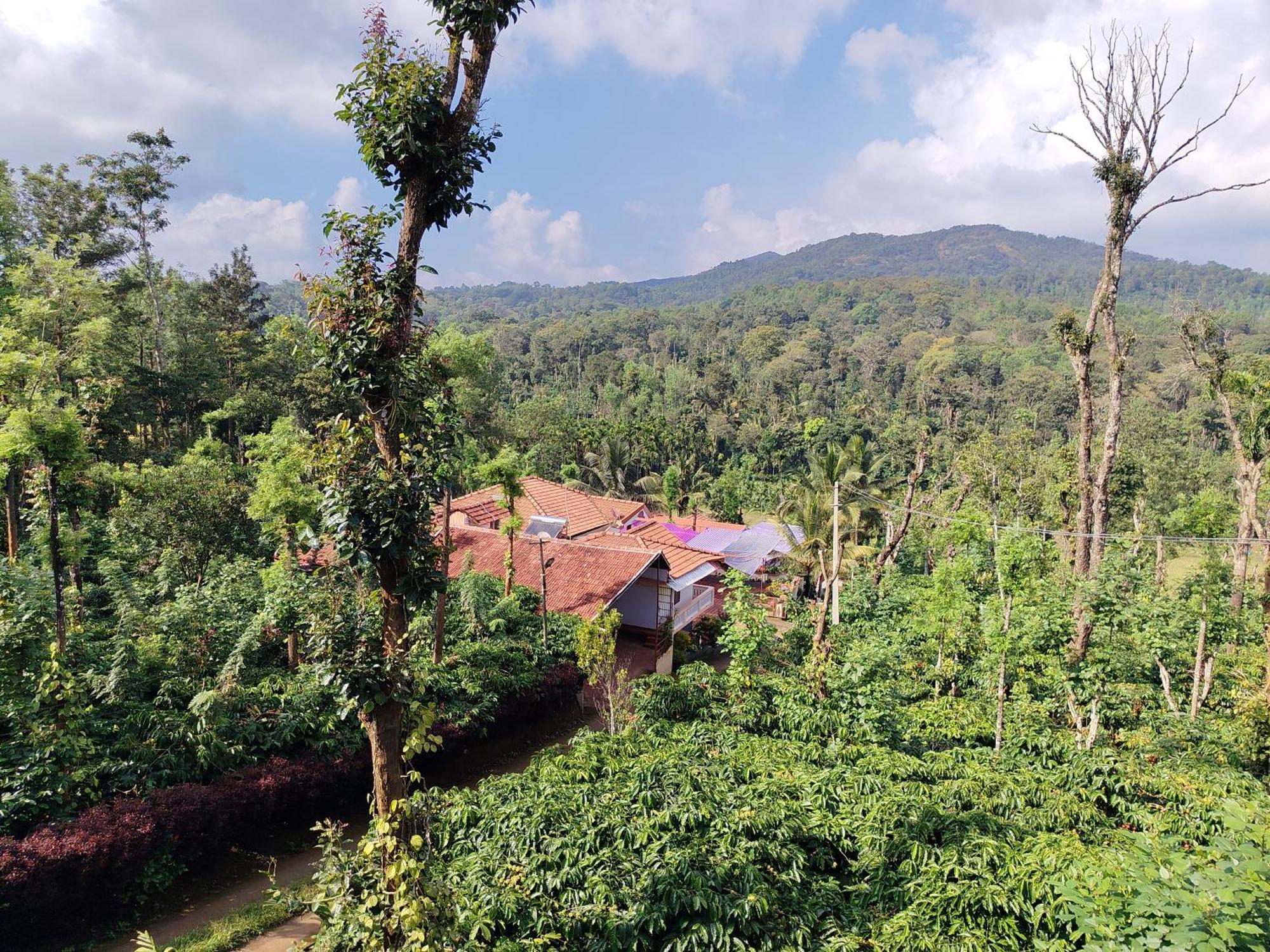 Shivalaya Homestay, Madikeri Siddāpur Εξωτερικό φωτογραφία