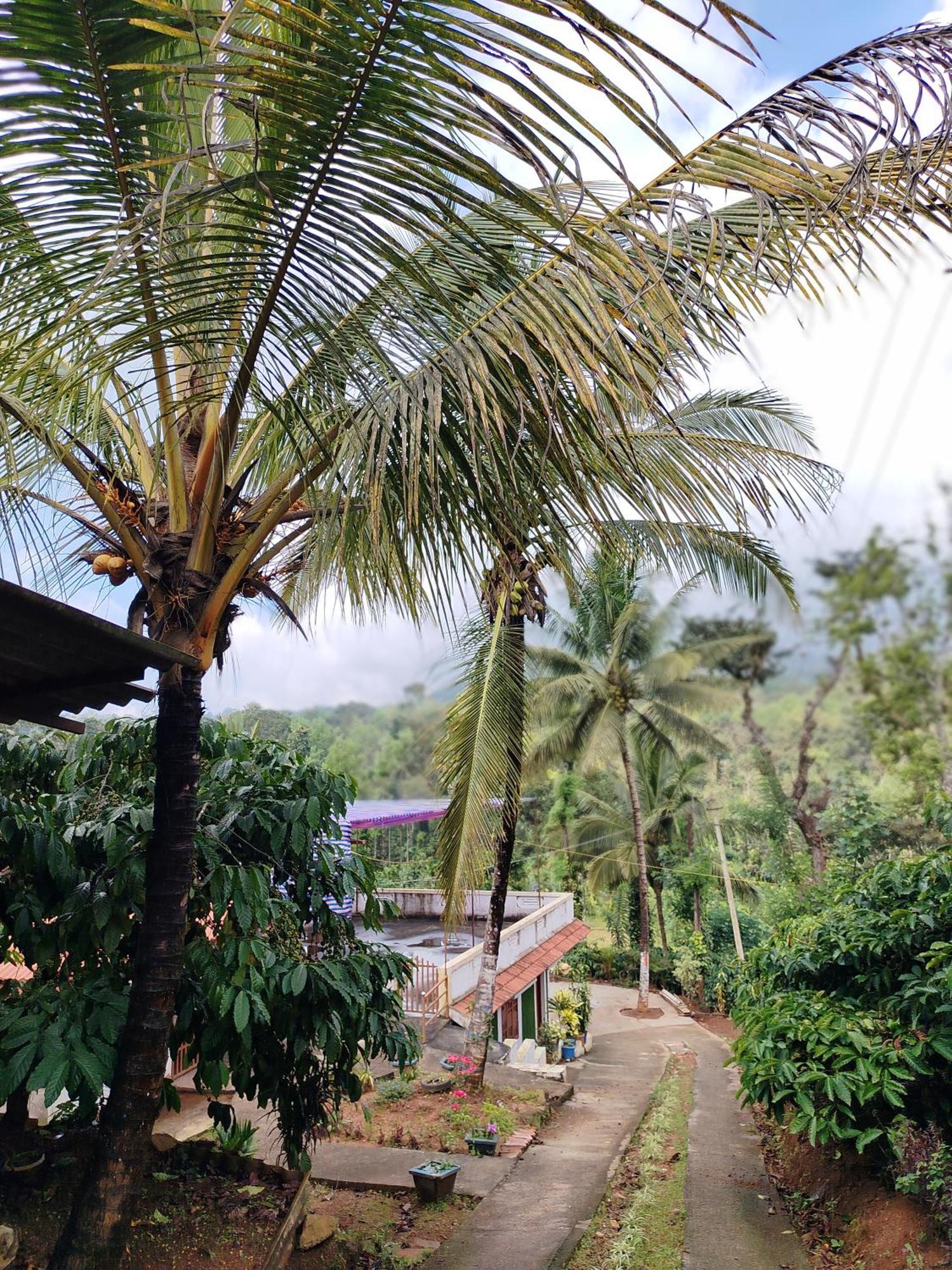 Shivalaya Homestay, Madikeri Siddāpur Εξωτερικό φωτογραφία